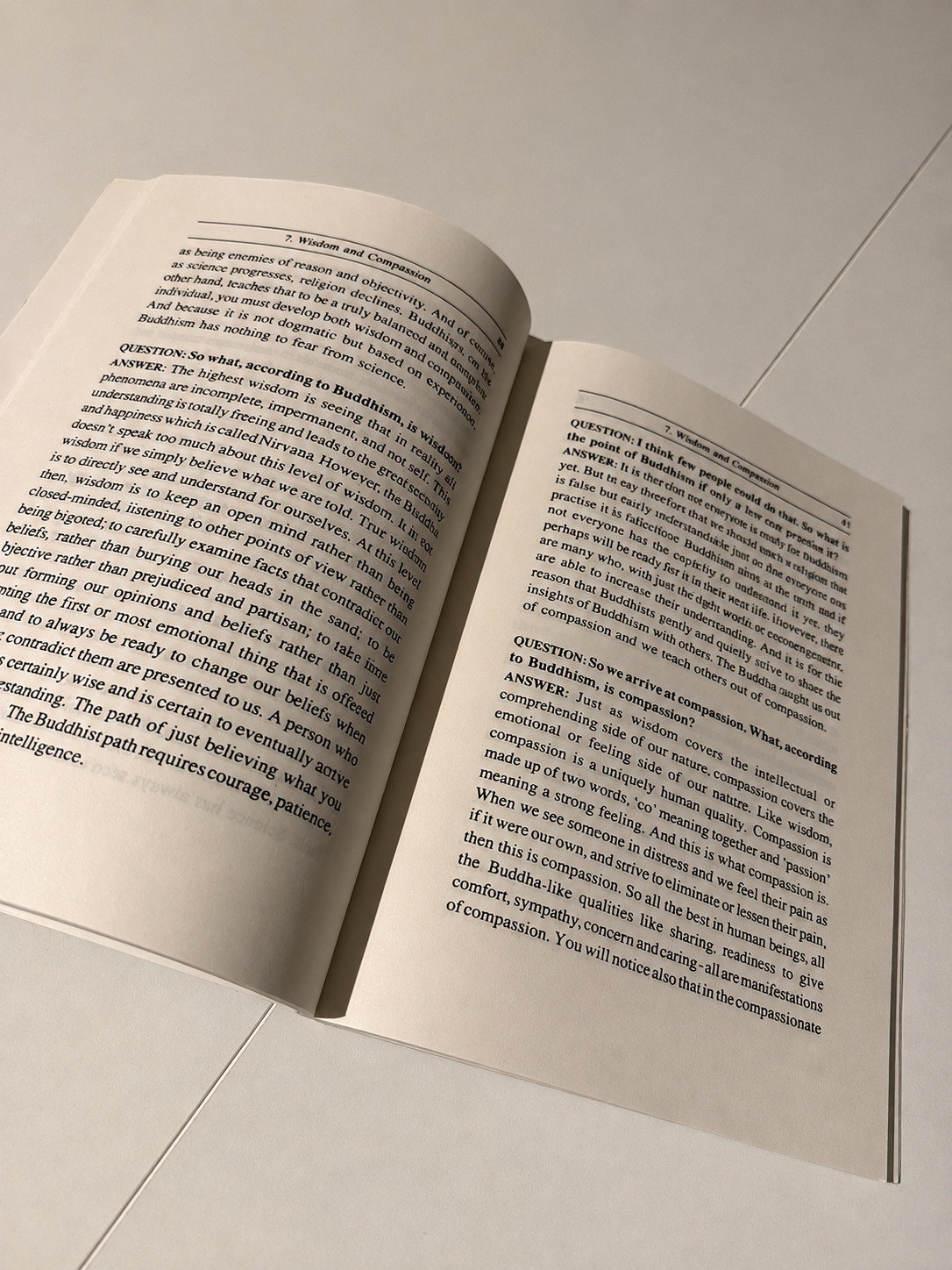 Lesen