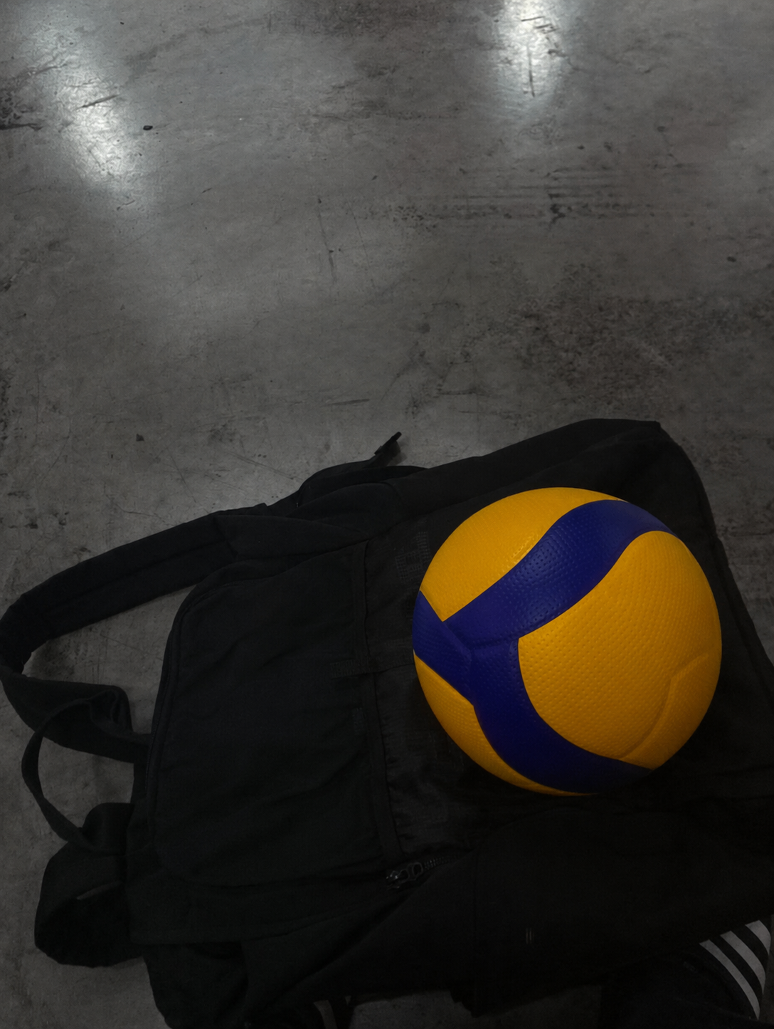 Volleyball